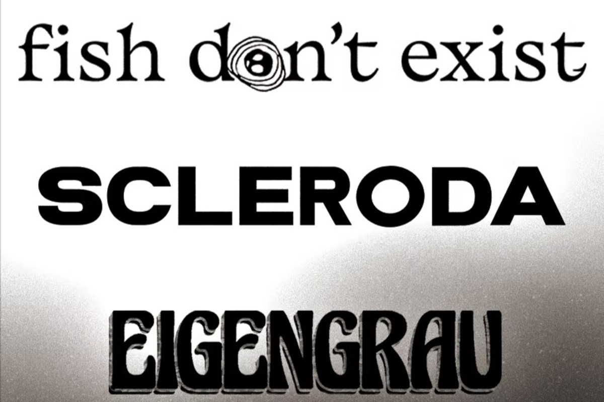 FISH DON'T EXIST x SCLERODA x EIGENGRAU
